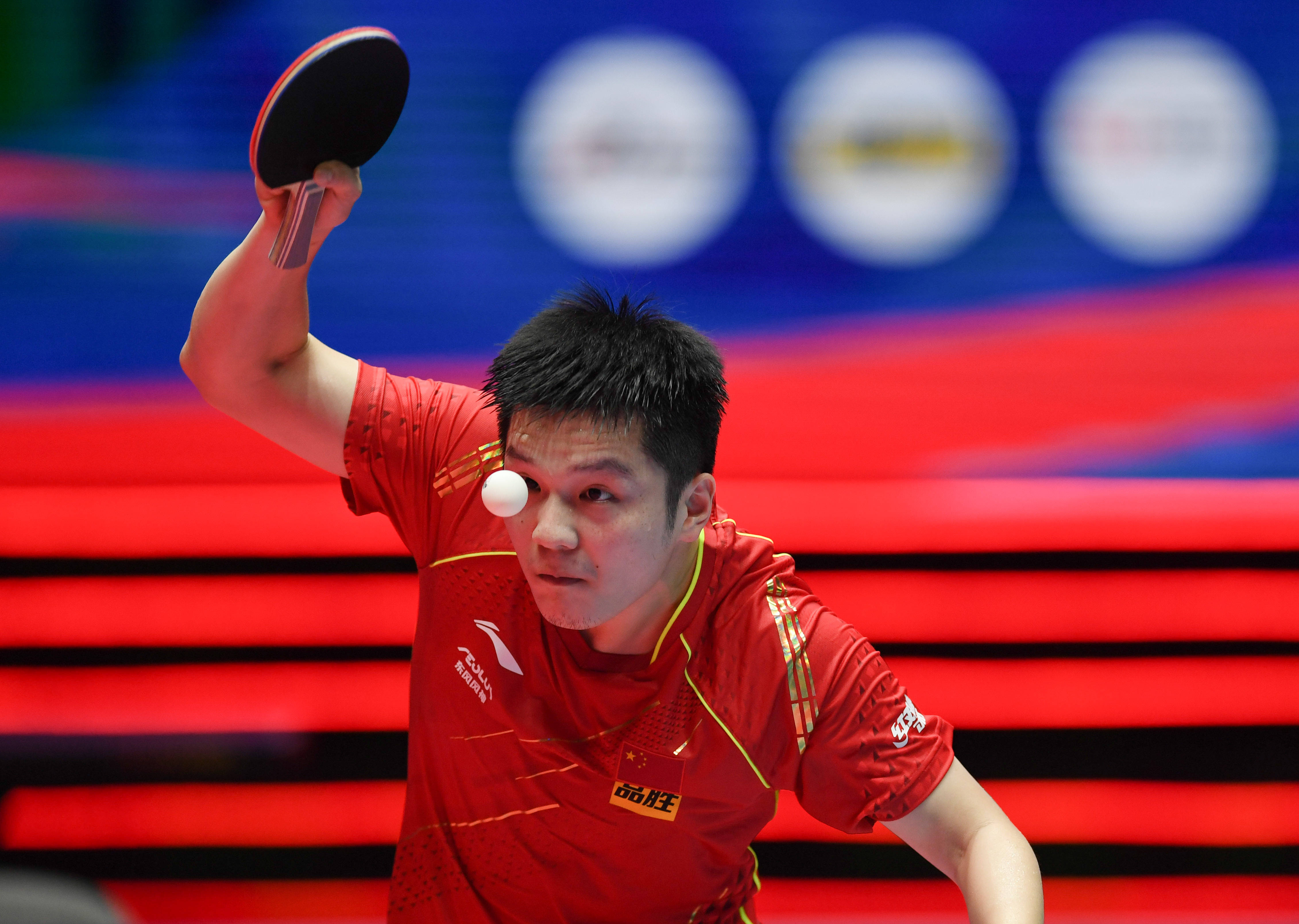 中窥见特林 中窥见特林